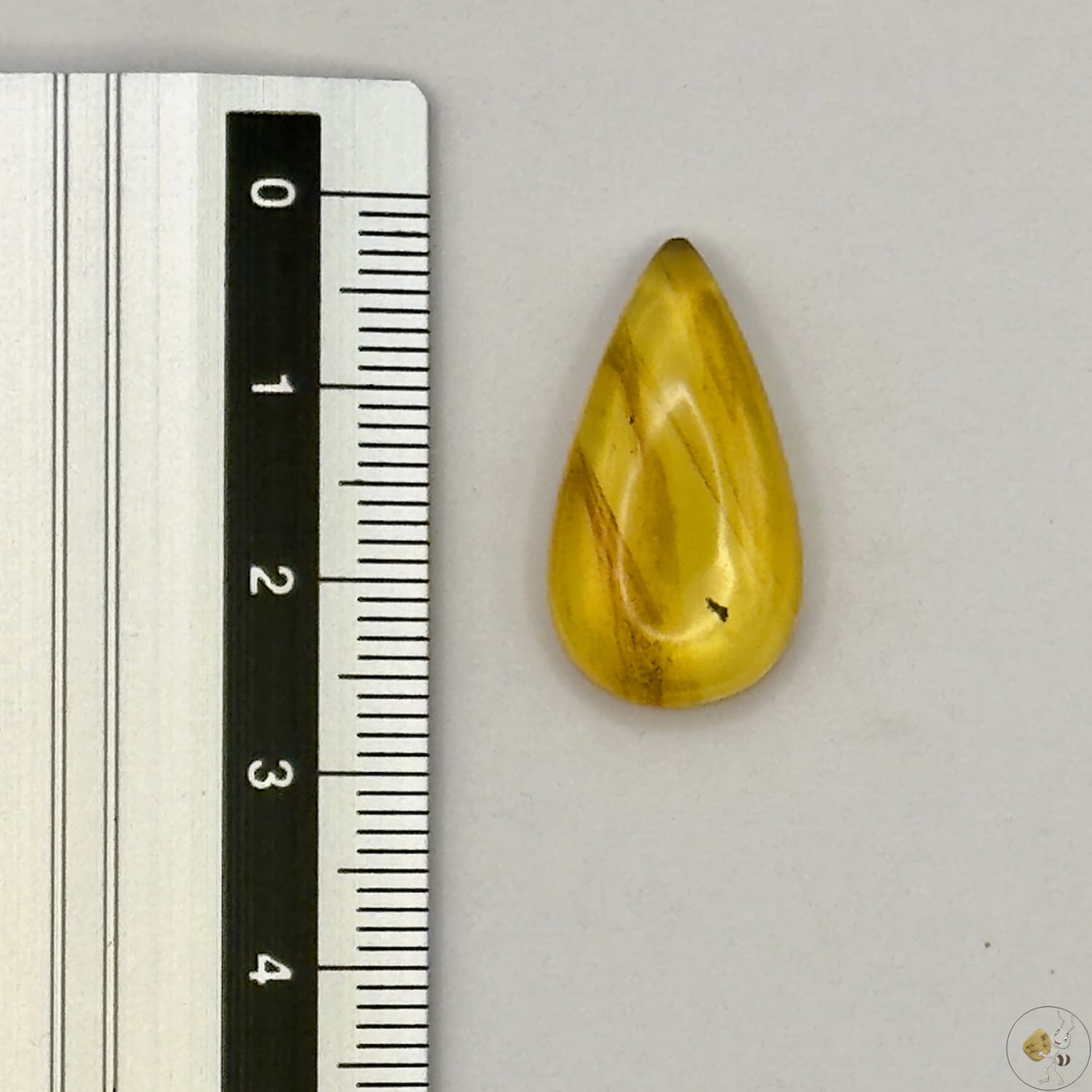 Cabochon en ambre jaune du Mexique, forme goutte, avec des inclusions naturelles et une finition polie. Présenté avec une règle pour référence