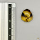 Cabochon en ambre jaune du Mexique, forme goutte, avec des inclusions naturelles et une finition polie. Présenté avec une règle pour référence