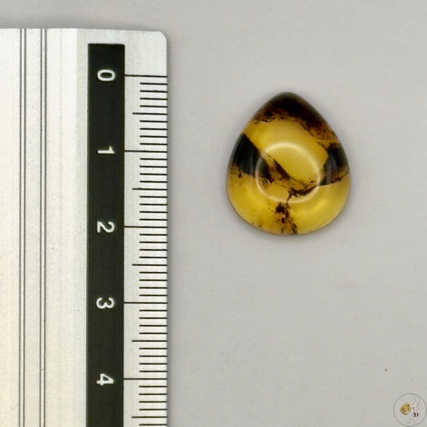 Cabochon en ambre jaune du Mexique, forme goutte, avec des inclusions naturelles et une finition polie. Présenté avec une règle pour référence