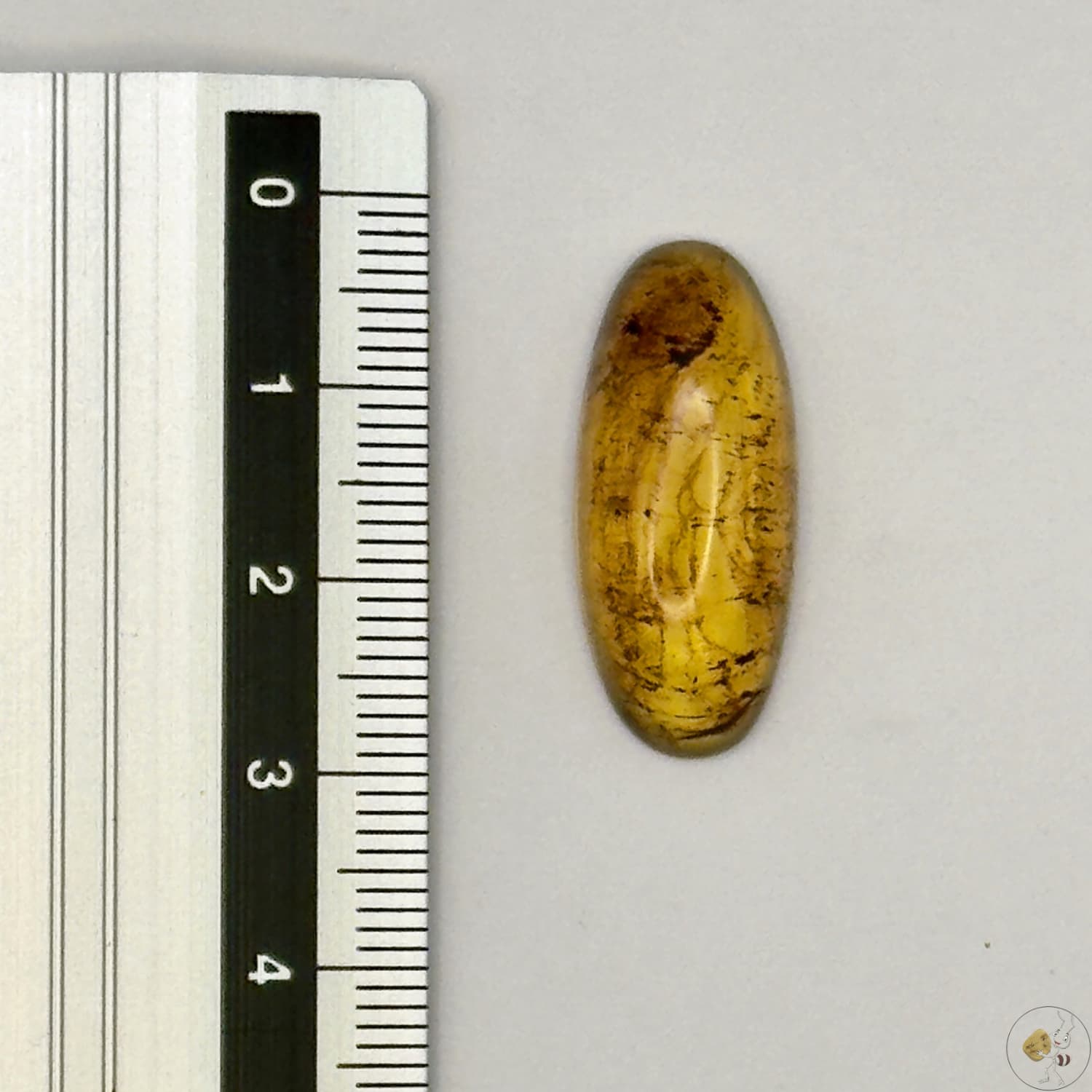 Cabochon en ambre jaune du Mexique, forme ovale, avec des inclusions naturelles et une finition polie. Présenté avec une règle pour référence