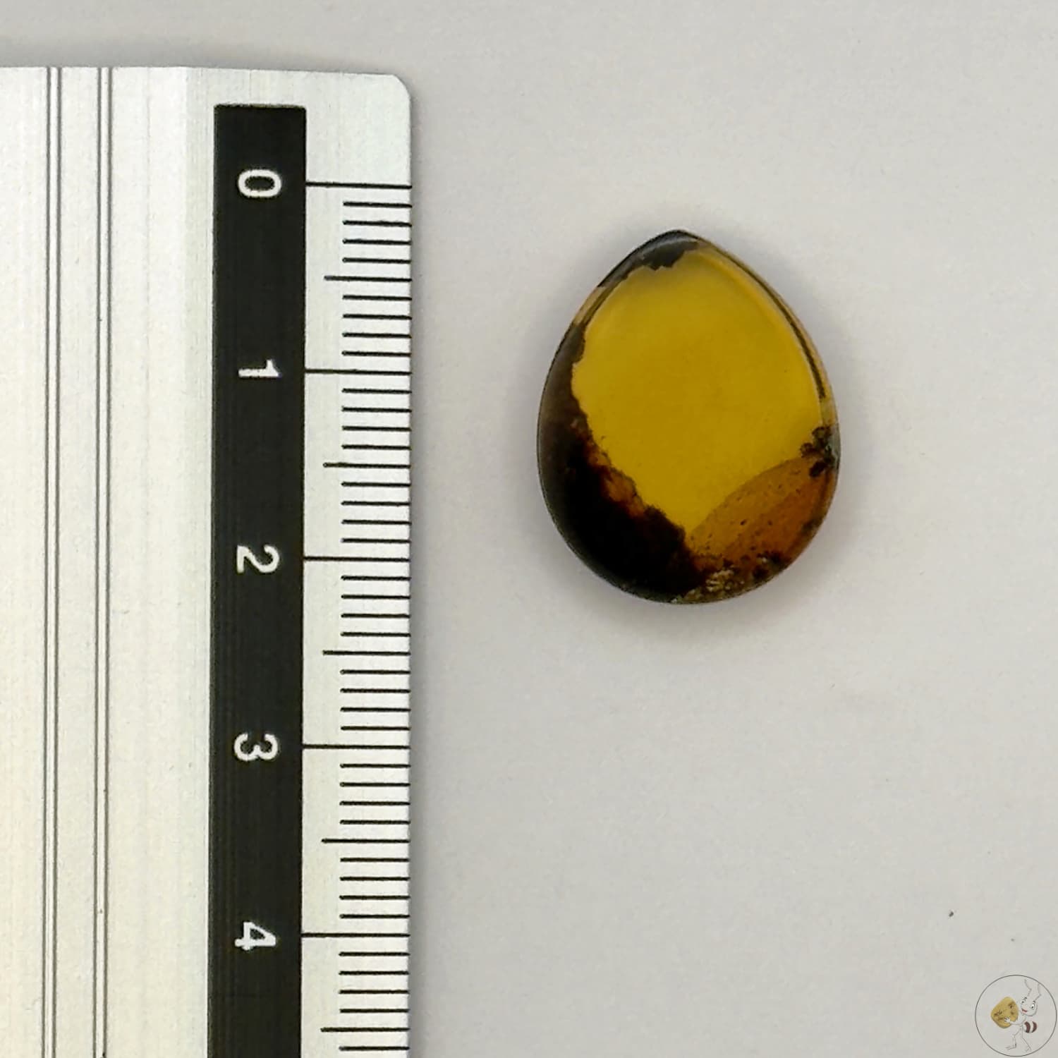 Cabochon en ambre jaune du Mexique, forme goutte, avec des inclusions naturelles et une finition polie. Présenté avec une règle pour référence