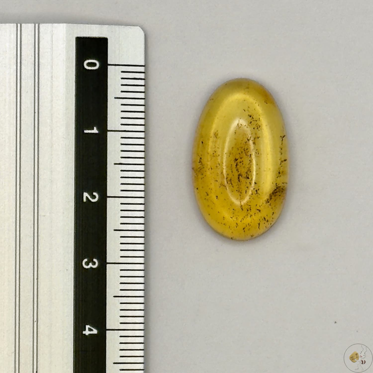 Cabochon en ambre jaune du Mexique, forme ovale, avec des inclusions naturelles et une finition polie. Présenté avec une règle pour référence