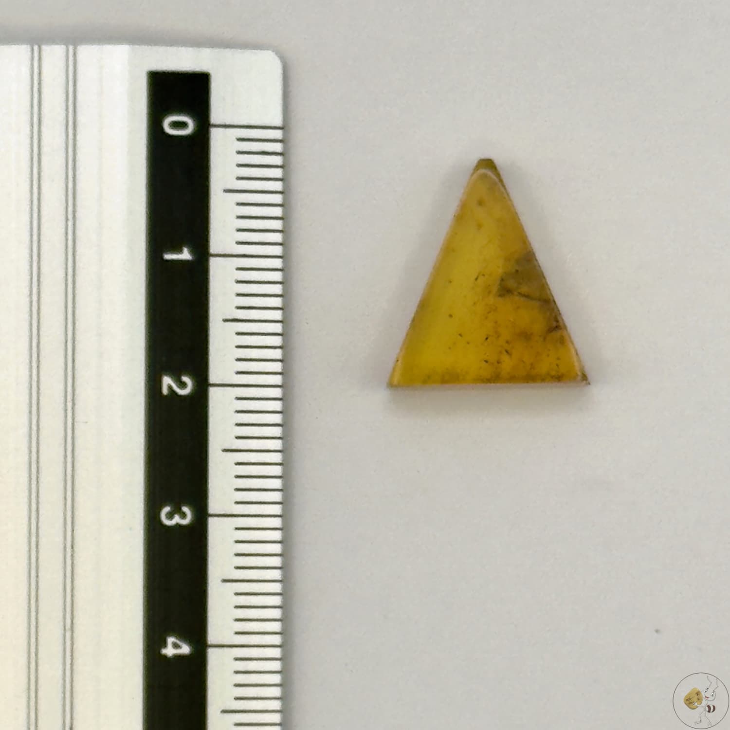 Cabochon en ambre jaune du Mexique, forme triangle, avec des inclusions naturelles et une finition polie. Présenté avec une règle pour référence
