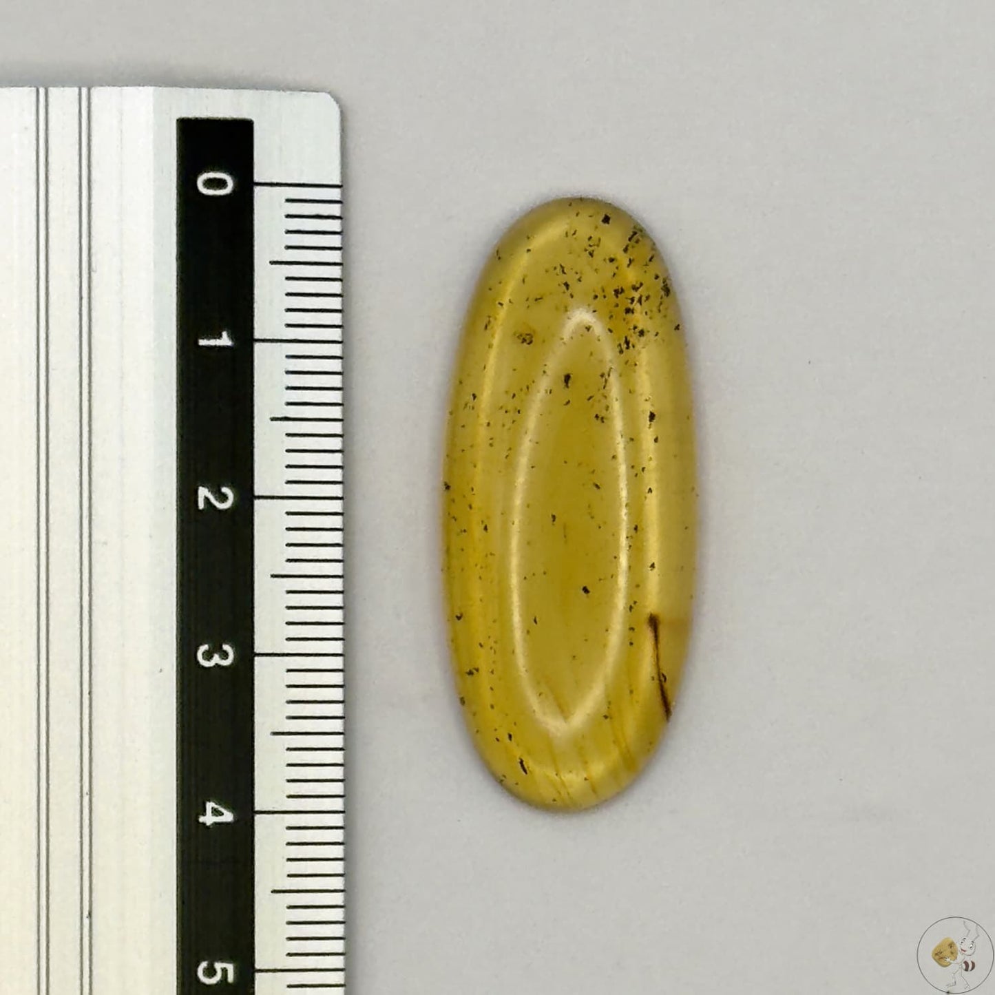 Cabochon en ambre jaune du Mexique, forme ovale, avec des inclusions naturelles et une finition polie. Présenté avec une règle pour référence