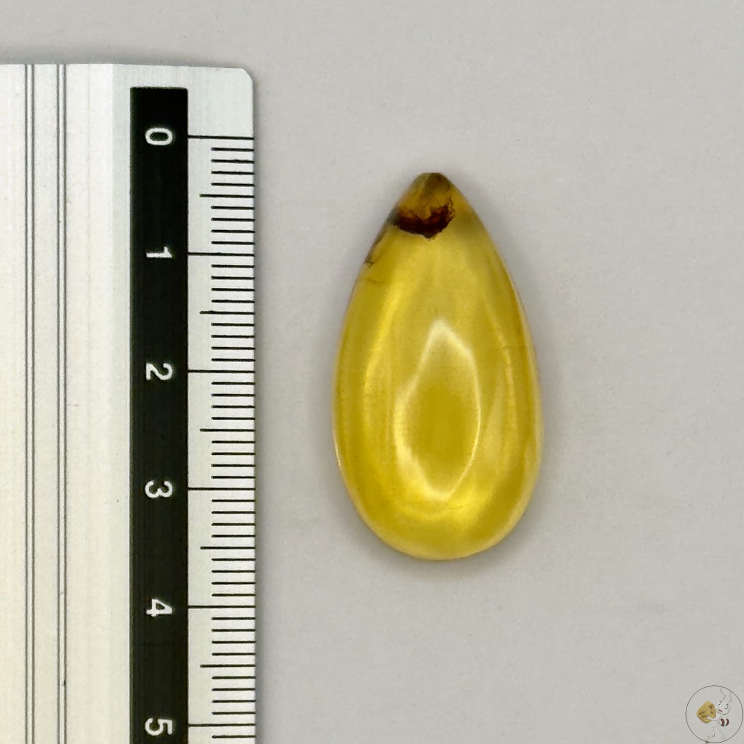 Cabochon en ambre jaune du Mexique, forme goutte, avec des inclusions naturelles et une finition polie. Présenté avec une règle pour référence
