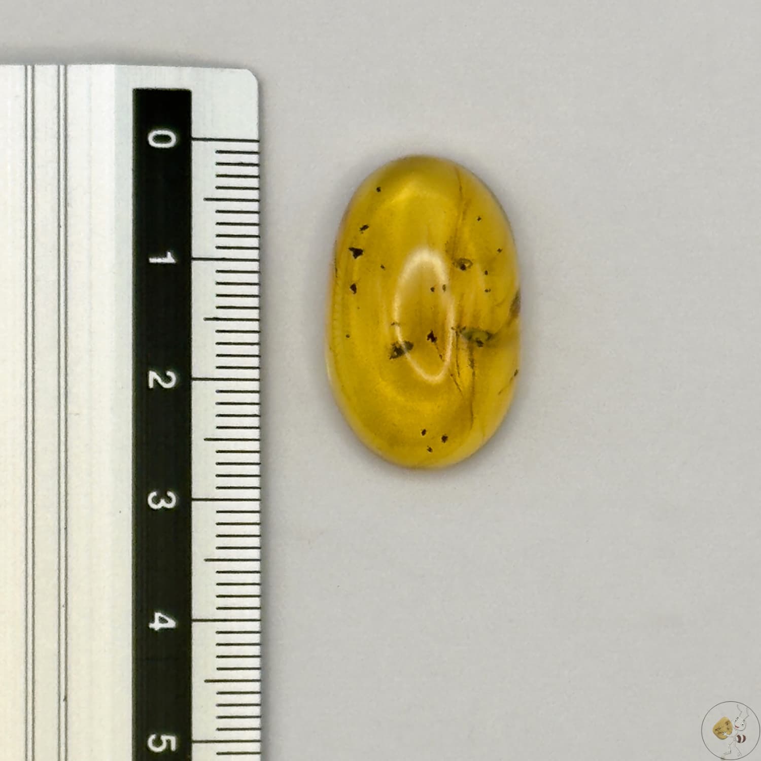 Cabochon en ambre jaune du Mexique, forme ovale, avec des inclusions naturelles et une finition polie. Présenté avec une règle pour référence