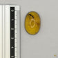 Cabochon en ambre jaune du Mexique, forme ovale, avec des inclusions naturelles et une finition polie. Présenté avec une règle pour référence