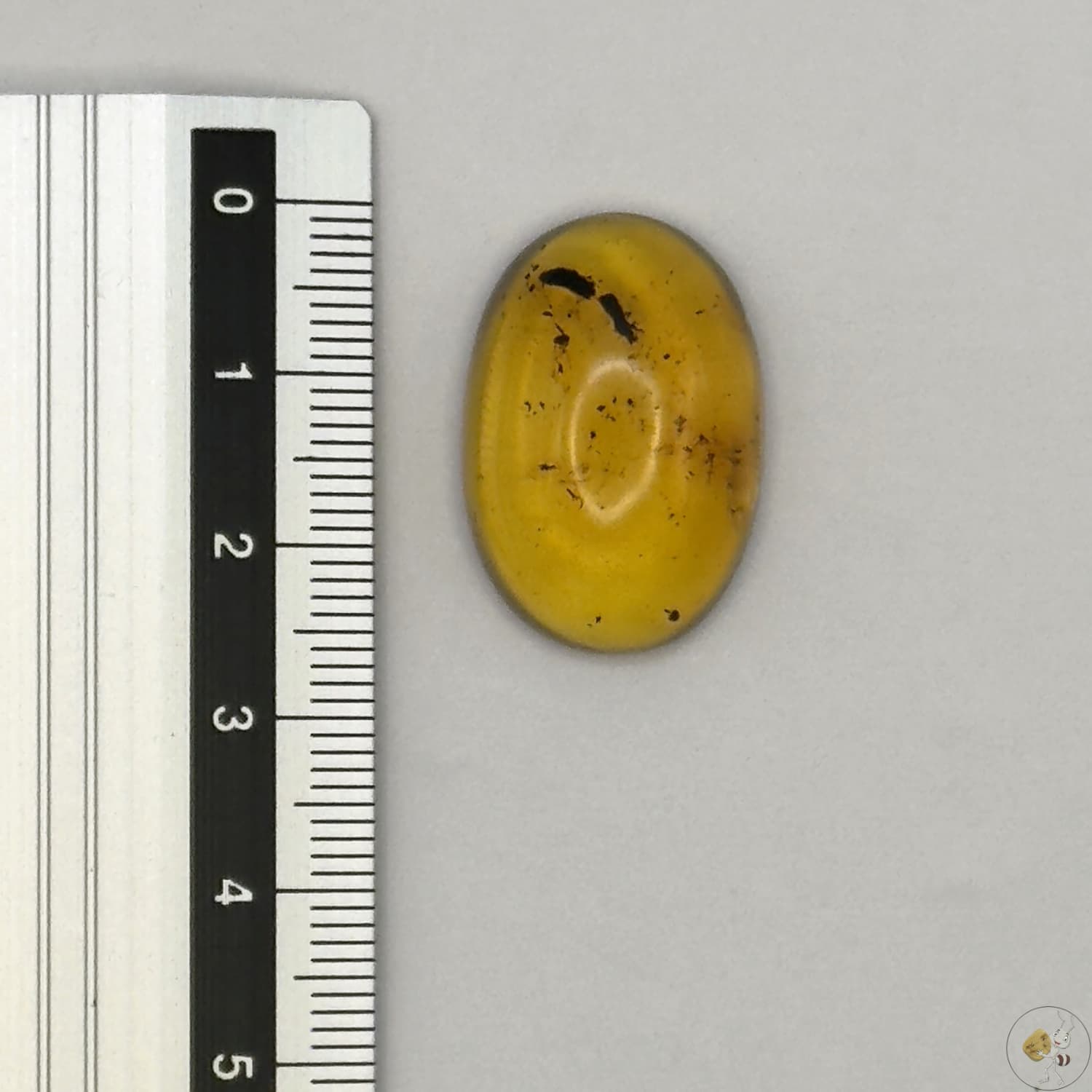 Cabochon en ambre jaune du Mexique, forme ovale, avec des inclusions naturelles et une finition polie. Présenté avec une règle pour référence