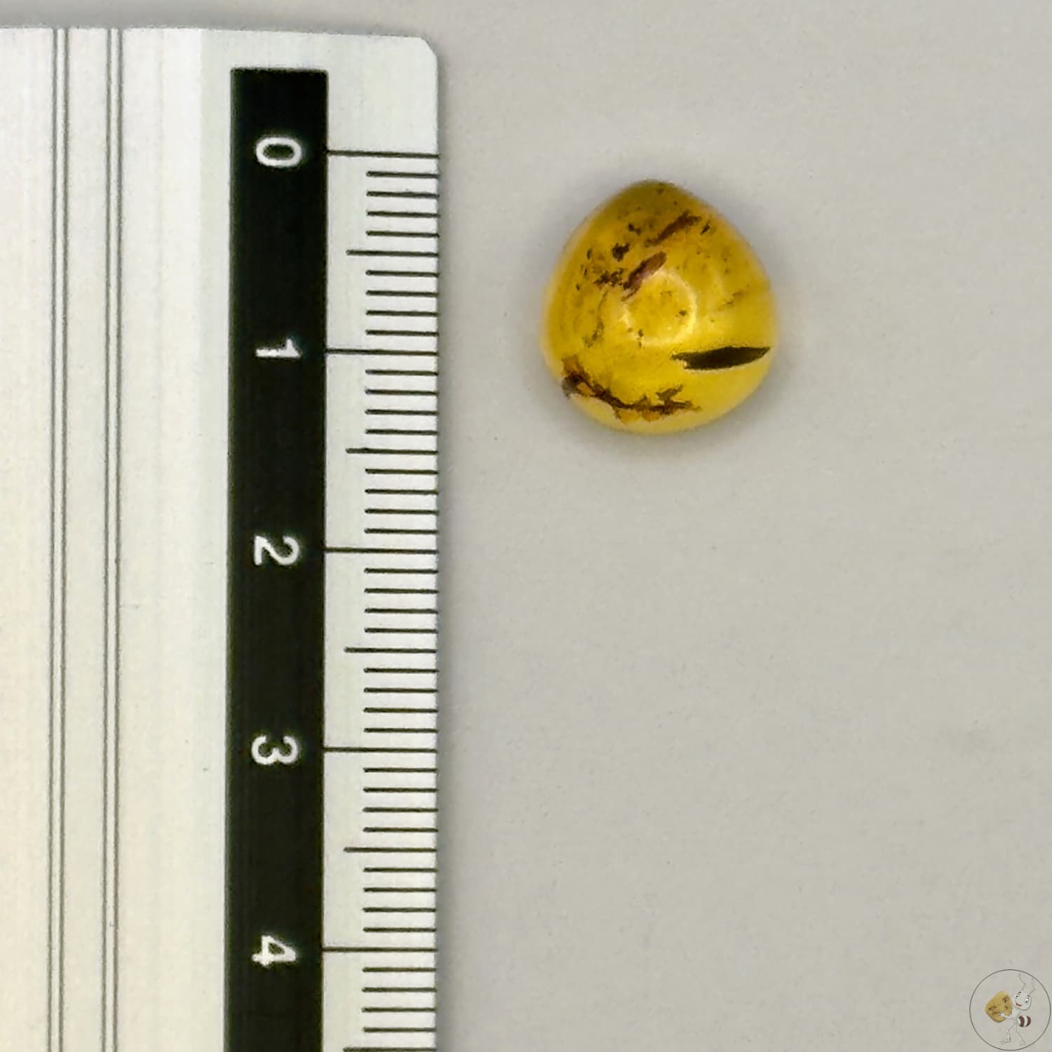 Cabochon en ambre jaune du Mexique, forme goutte, avec des inclusions naturelles et une finition polie. Présenté avec une règle pour référence