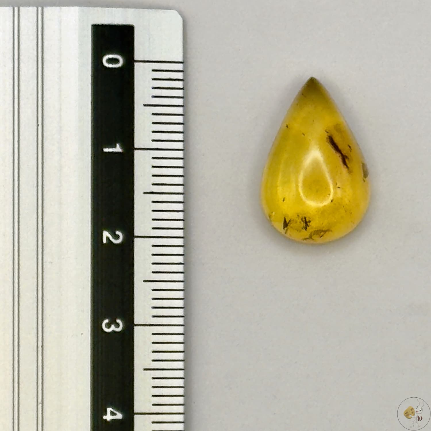 Cabochon en ambre jaune du Mexique, forme goutte, avec des inclusions naturelles et une finition polie. Présenté avec une règle pour référence