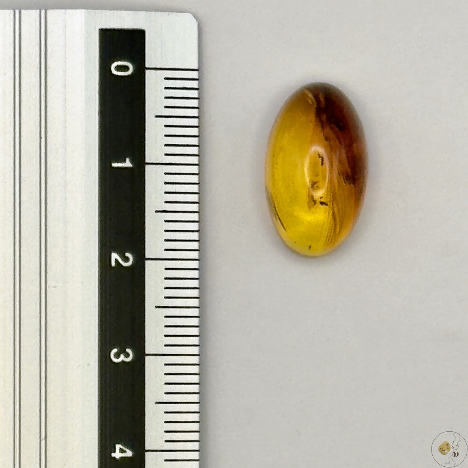Cabochon en ambre jaune du Mexique, forme ovale, avec des inclusions naturelles et une finition polie. Présenté avec une règle pour référence