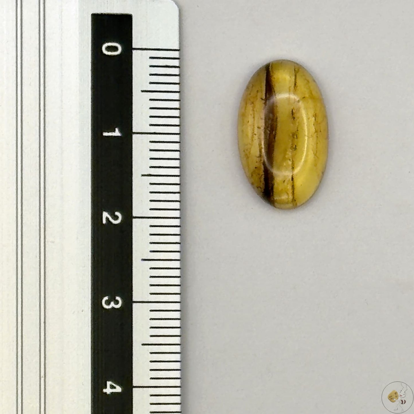 Cabochon en ambre jaune du Mexique, forme ovale, avec des inclusions naturelles et une finition polie. Présenté avec une règle pour référence