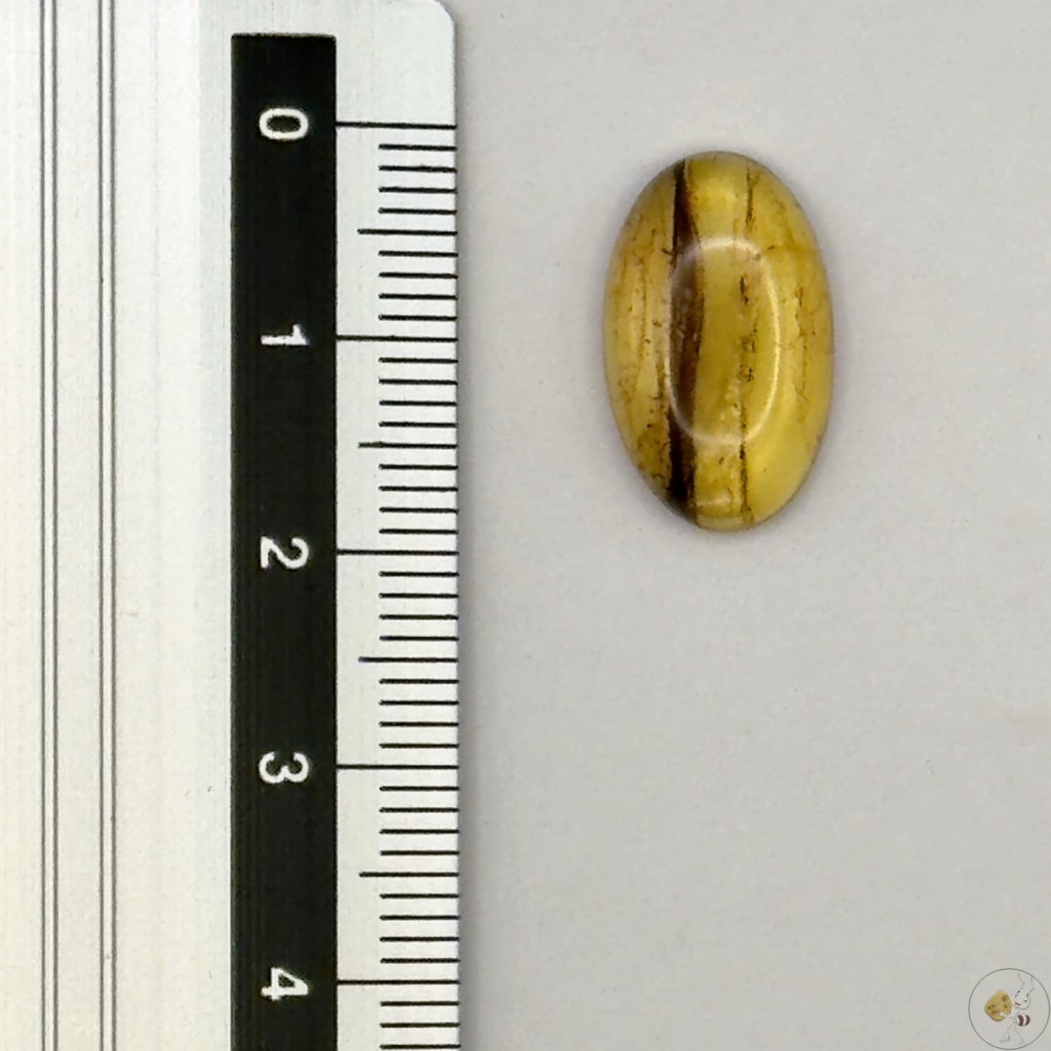Cabochon en ambre jaune du Mexique, forme ovale, avec des inclusions naturelles et une finition polie. Présenté avec une règle pour référence