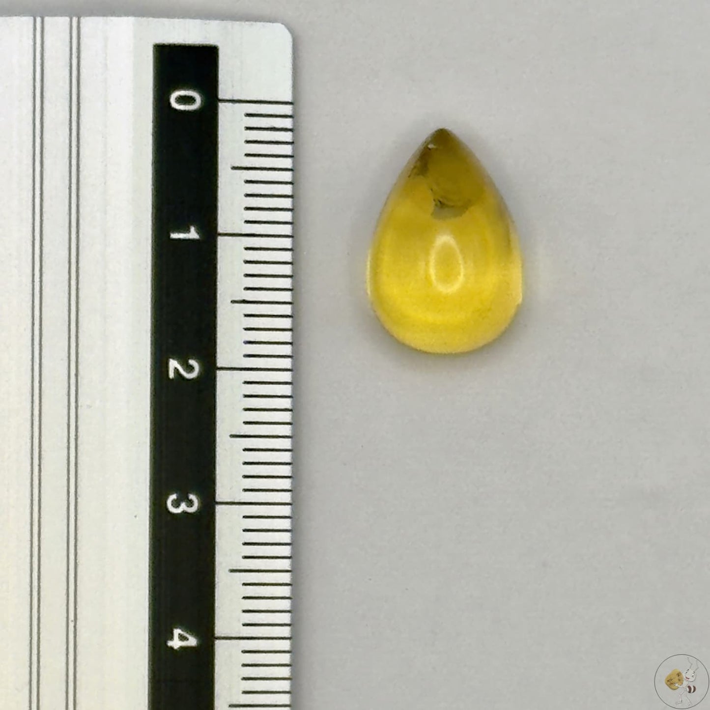 Cabochon en ambre jaune du Mexique, forme goutte, avec des inclusions naturelles et une finition polie. Présenté avec une règle pour référence