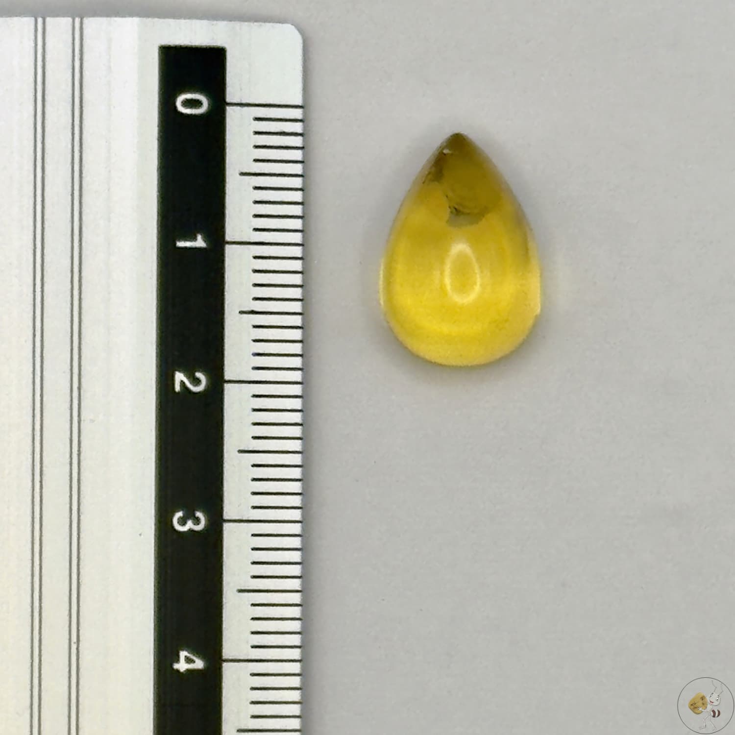 Cabochon en ambre jaune du Mexique, forme goutte, avec des inclusions naturelles et une finition polie. Présenté avec une règle pour référence