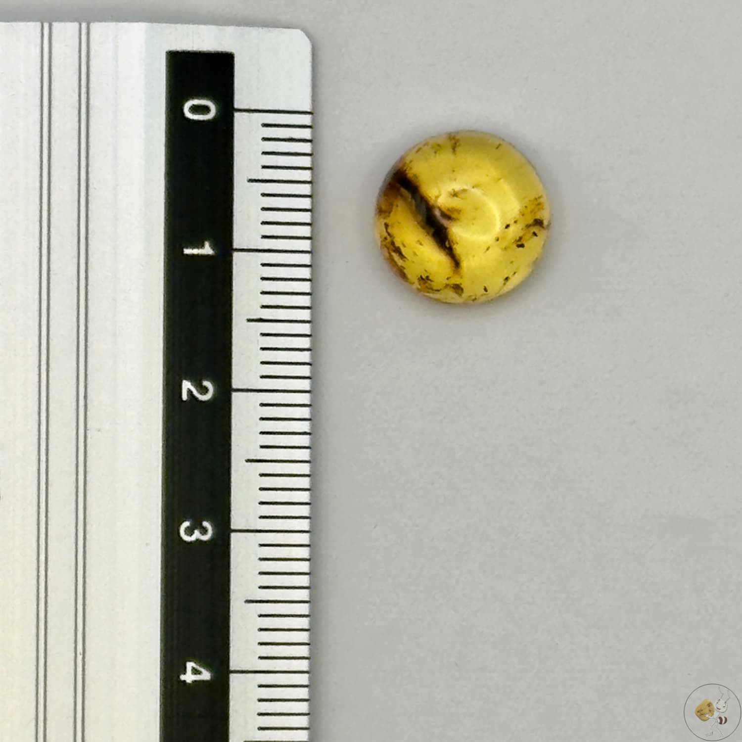 Cabochon en ambre jaune du Mexique, forme ronde, avec des inclusions naturelles et une finition polie. Présenté avec une règle pour référence