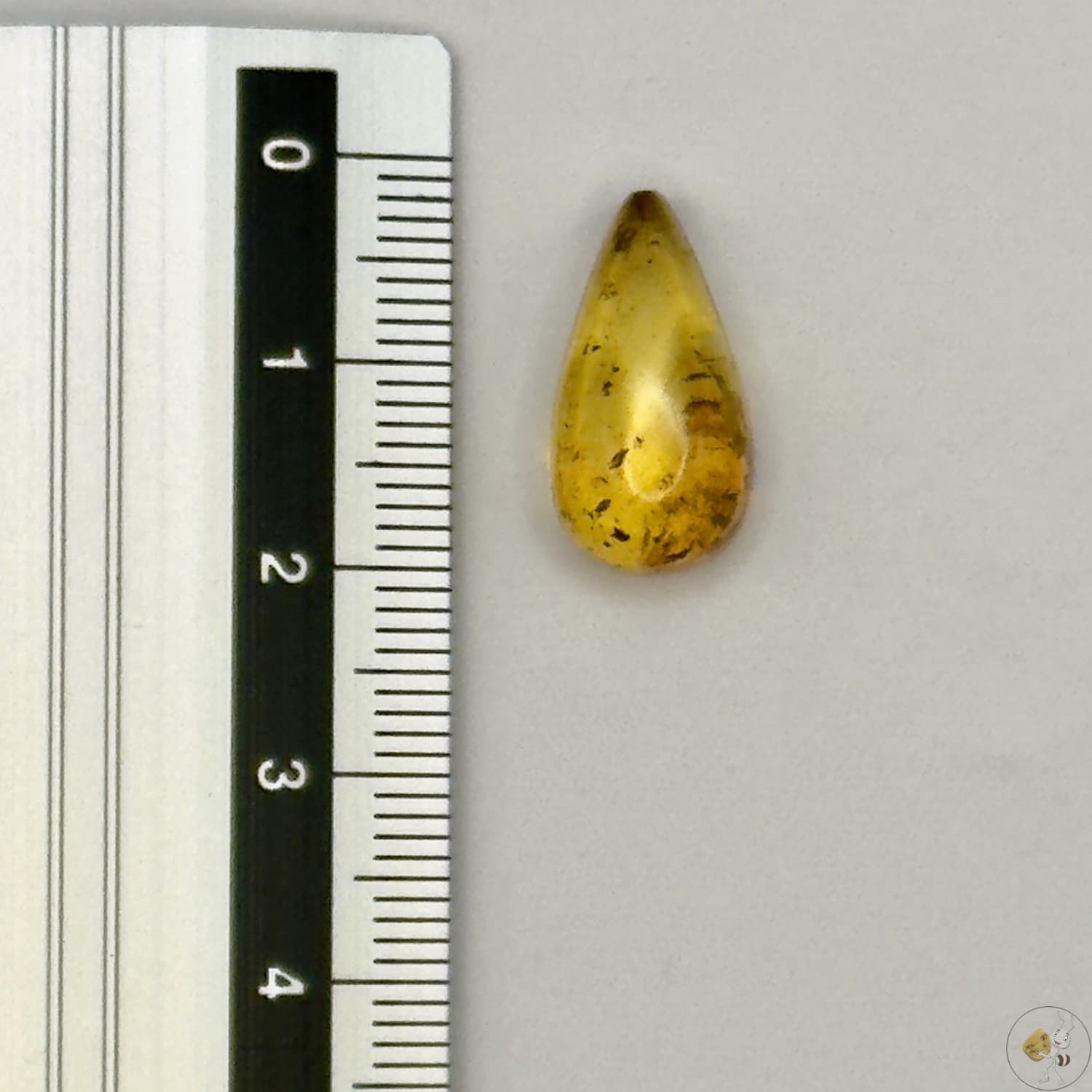Cabochon en ambre jaune du Mexique, forme goutte, avec des inclusions naturelles et une finition polie. Présenté avec une règle pour référence