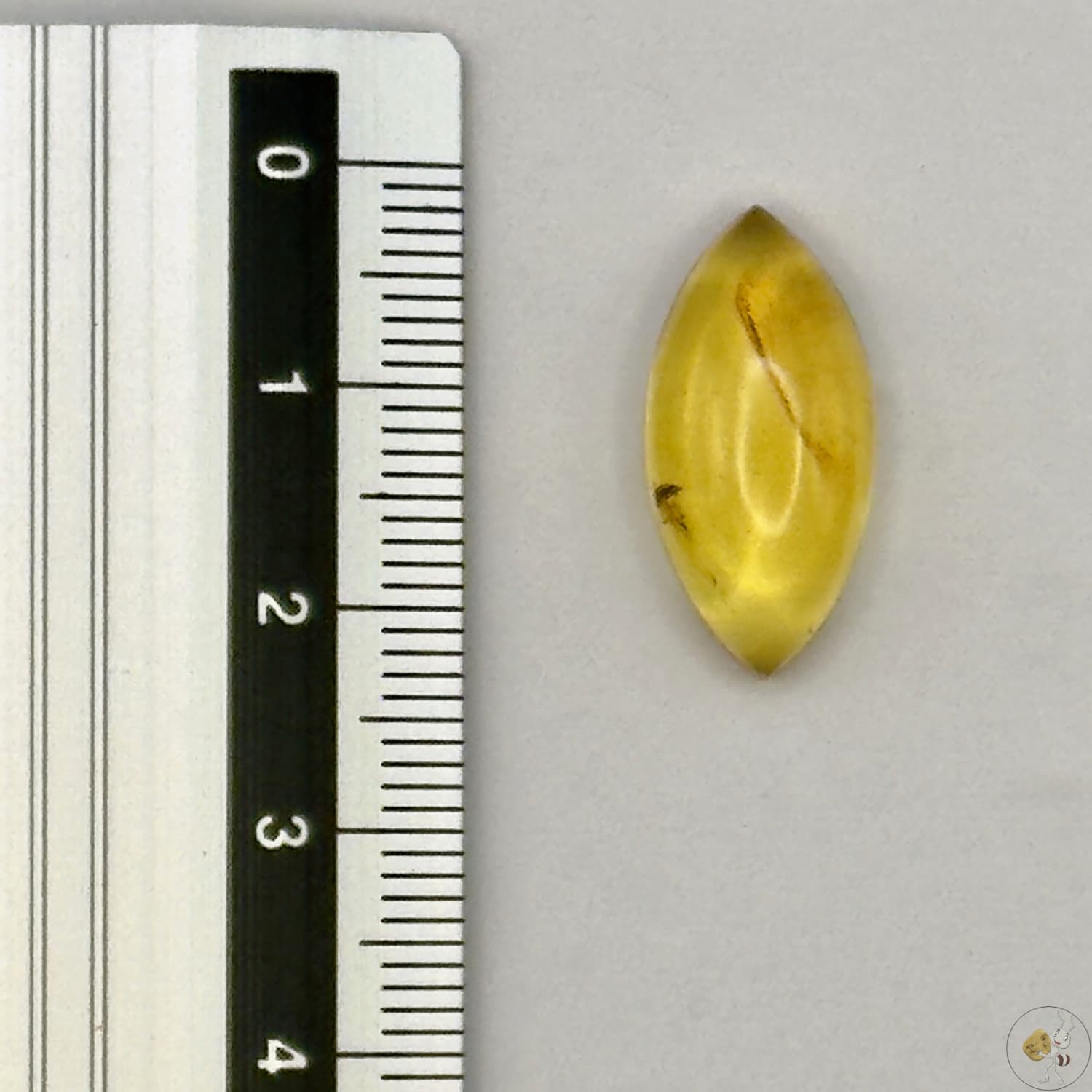 Cabochon en ambre jaune du Mexique, forme marquise, avec des inclusions naturelles et une finition polie. Présenté avec une règle pour référence