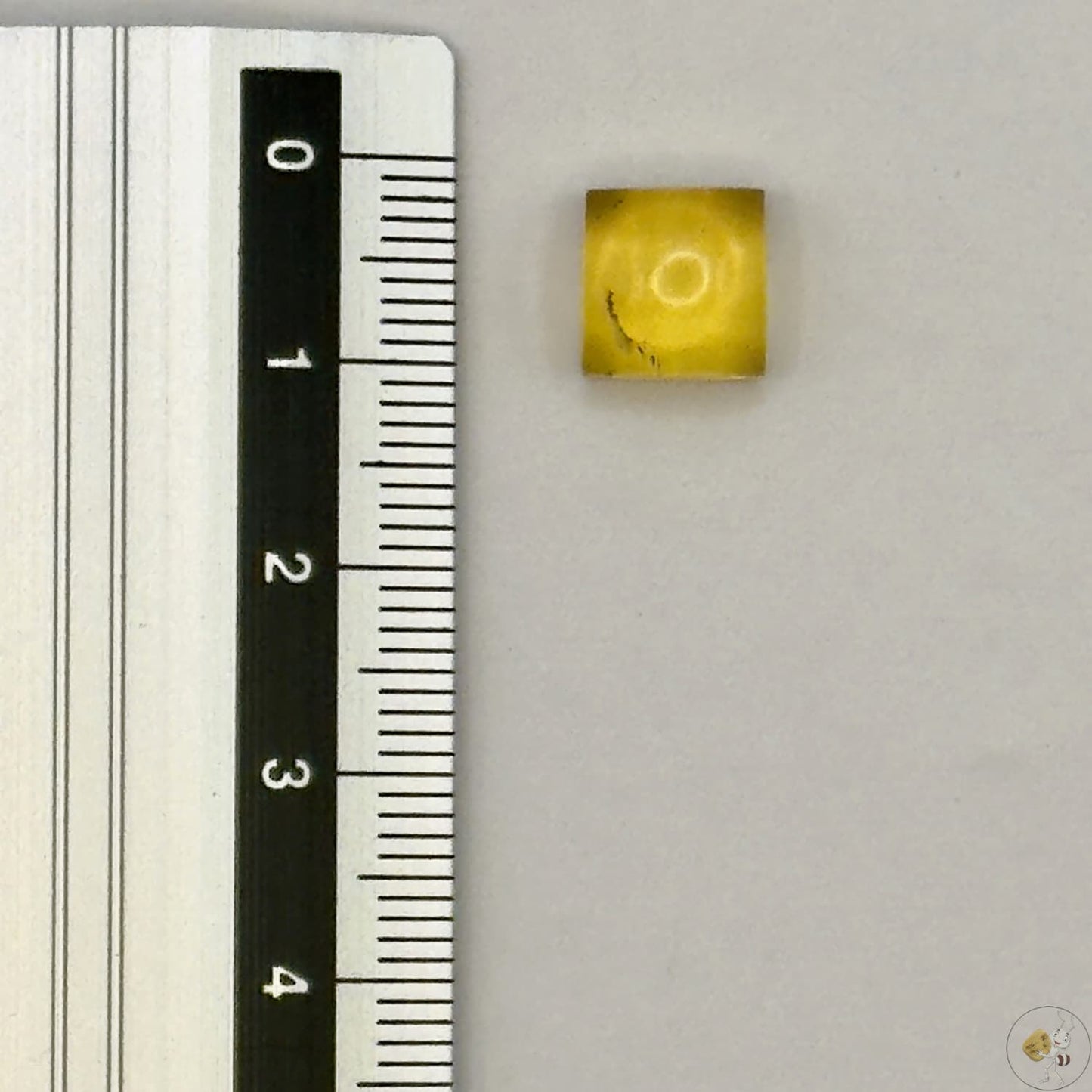 Cabochon en ambre jaune du Mexique, forme carré, avec des inclusions naturelles et une finition polie. Présenté avec une règle pour référence