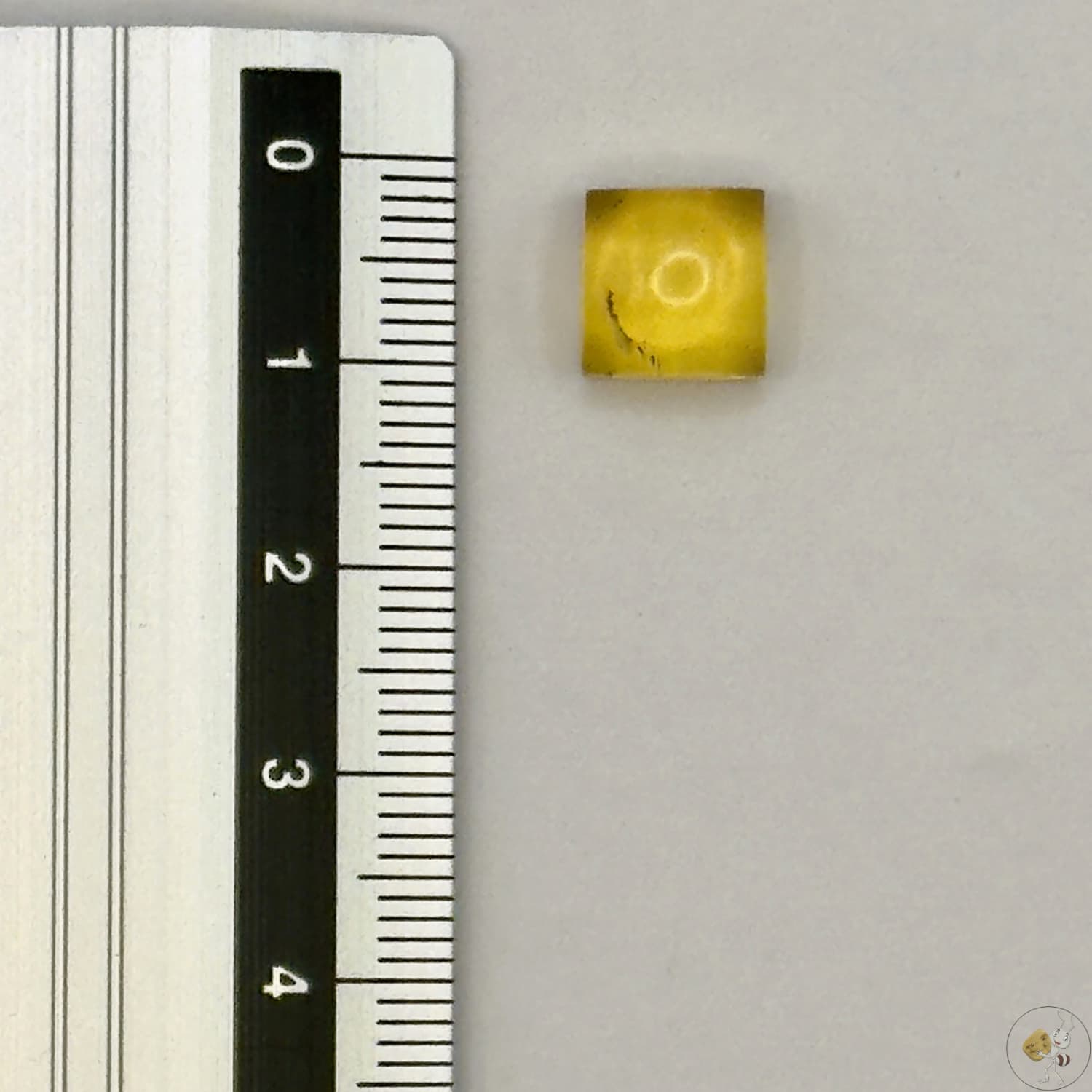 Cabochon en ambre jaune du Mexique, forme carré, avec des inclusions naturelles et une finition polie. Présenté avec une règle pour référence