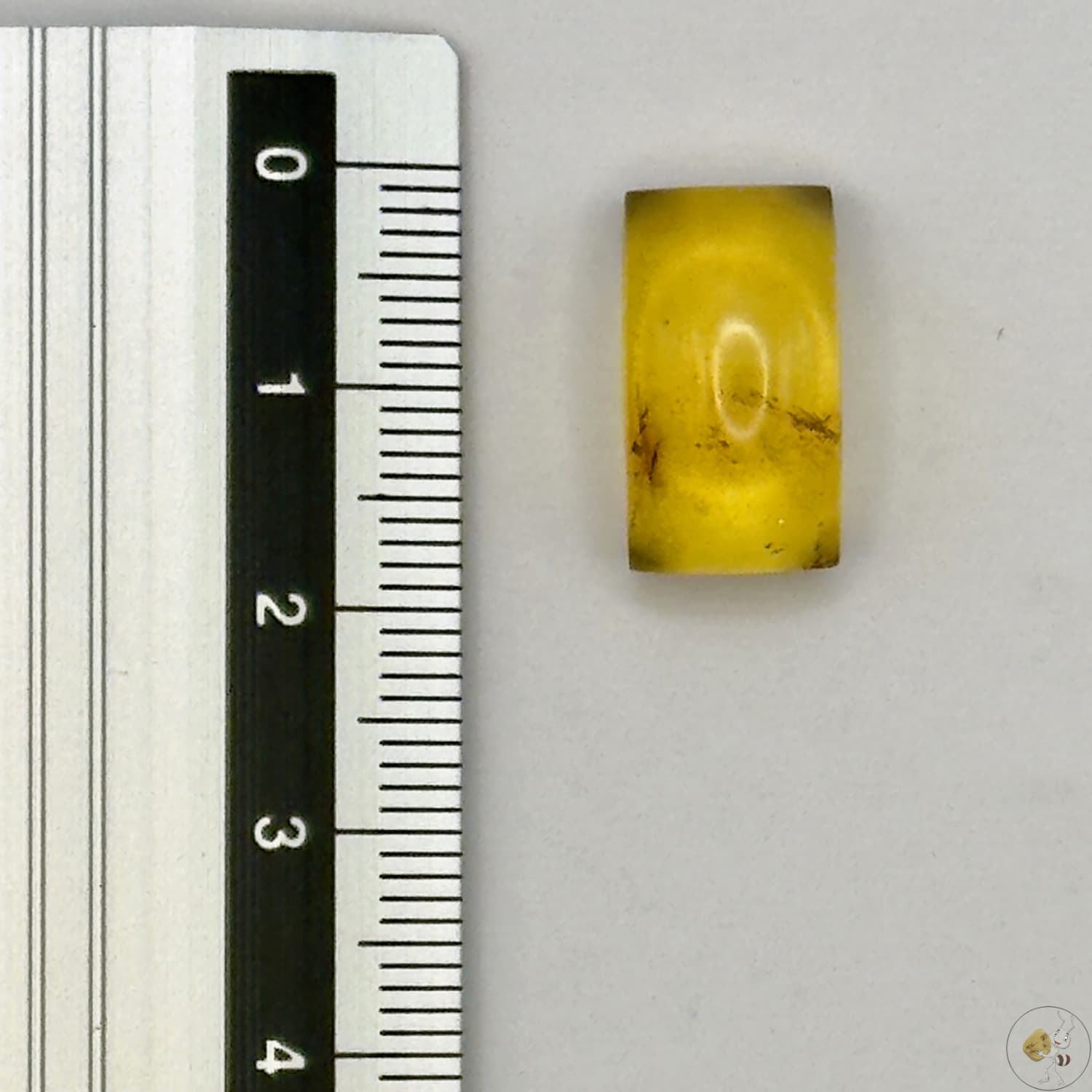 Cabochon en ambre jaune du Mexique, forme rectangulaire, avec des inclusions naturelles et une finition polie. Présenté avec une règle pour référence
