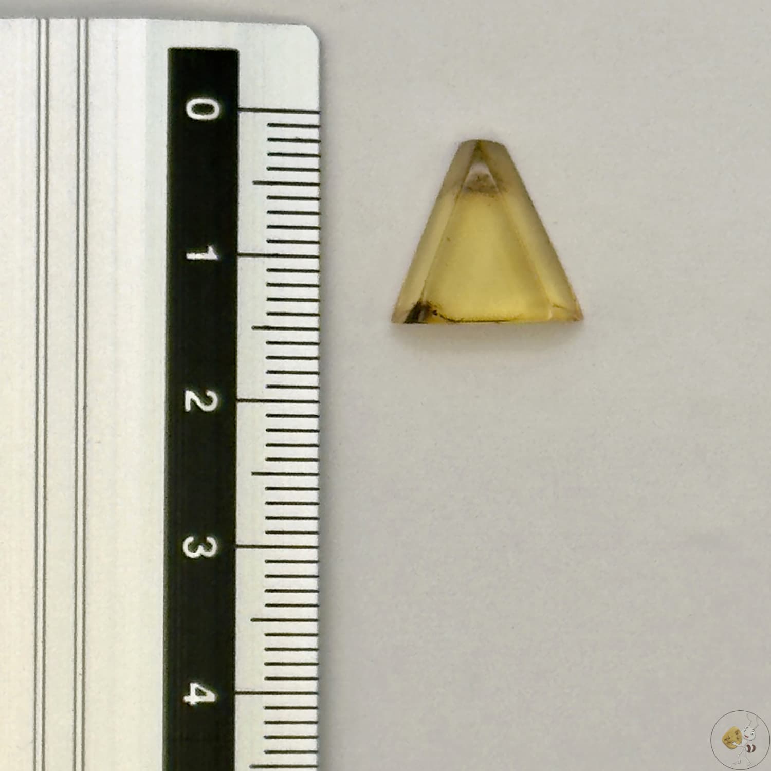 Cabochon en ambre jaune du Mexique, forme triangle, avec des inclusions naturelles et une finition polie. Présenté avec une règle pour référence