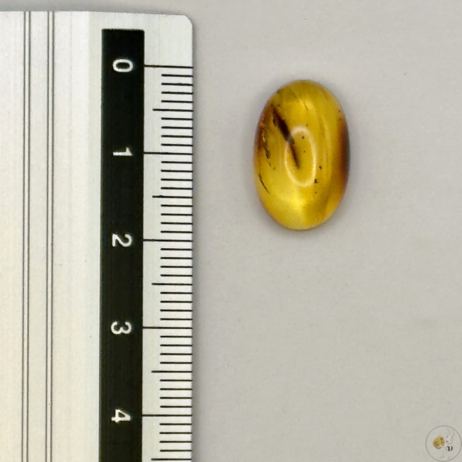 Cabochon en ambre jaune du Mexique, forme ovale, avec des inclusions naturelles et une finition polie. Présenté avec une règle pour référence