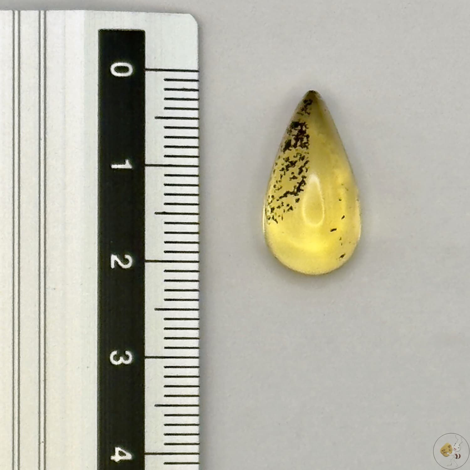 Cabochon en ambre jaune du Mexique, forme goutte, avec des inclusions naturelles et une finition polie. Présenté avec une règle pour référence
