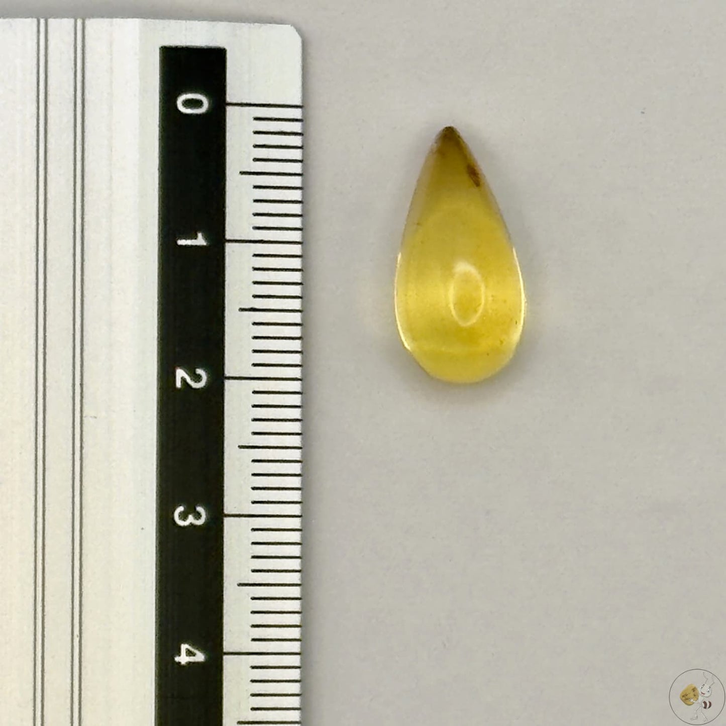 Cabochon en ambre jaune du Mexique, forme goutte, avec des inclusions naturelles et une finition polie. Présenté avec une règle pour référence