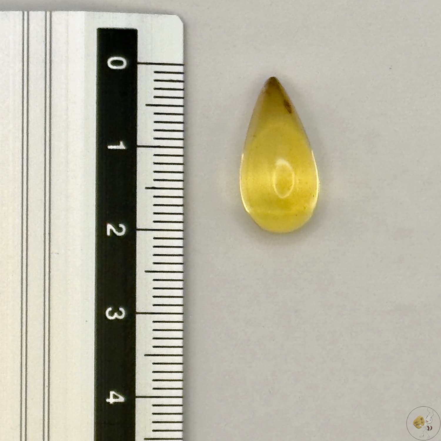 Cabochon en ambre jaune du Mexique, forme goutte, avec des inclusions naturelles et une finition polie. Présenté avec une règle pour référence