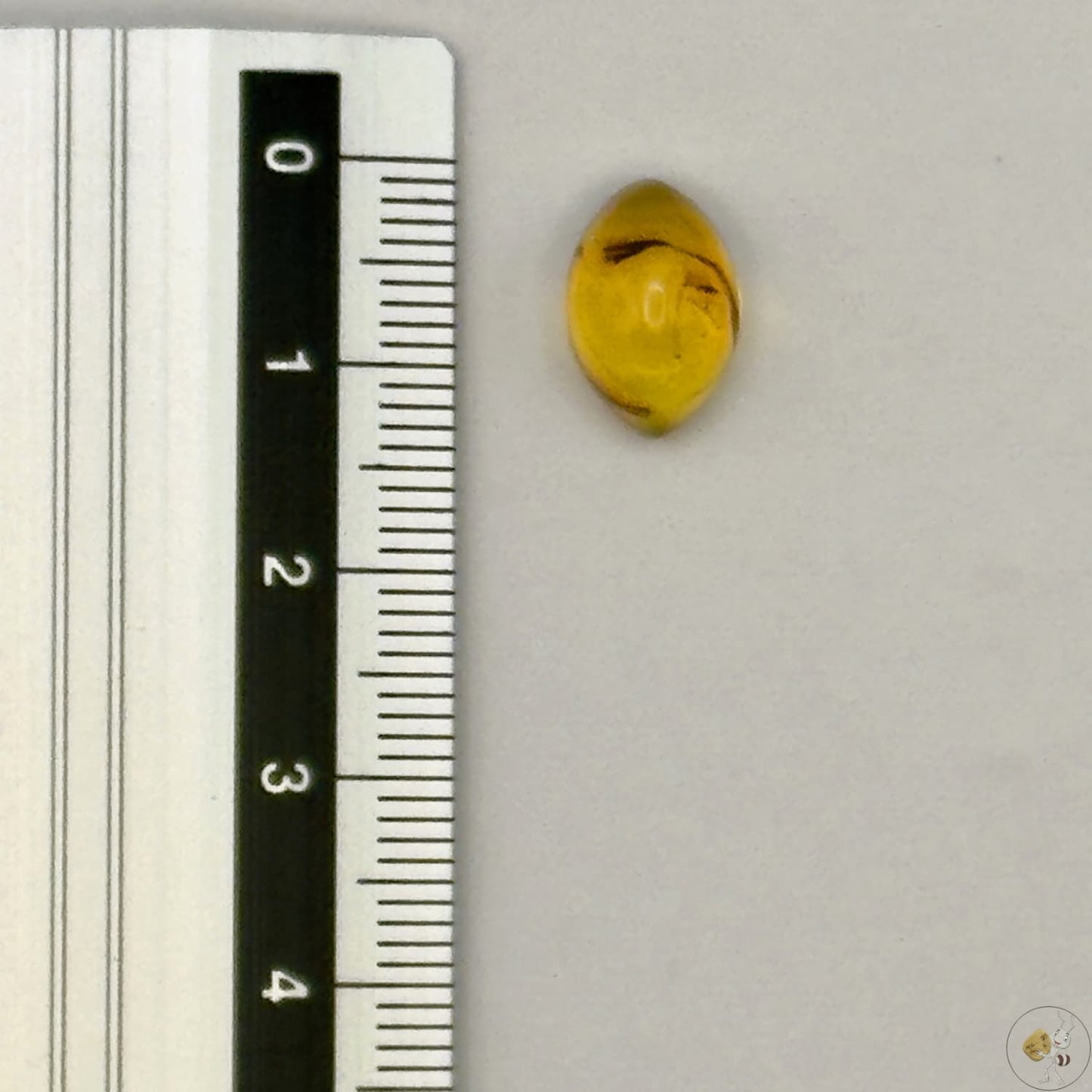 Cabochon en ambre jaune du Mexique, forme marquise, avec des inclusions naturelles et une finition polie. Présenté avec une règle pour référence
