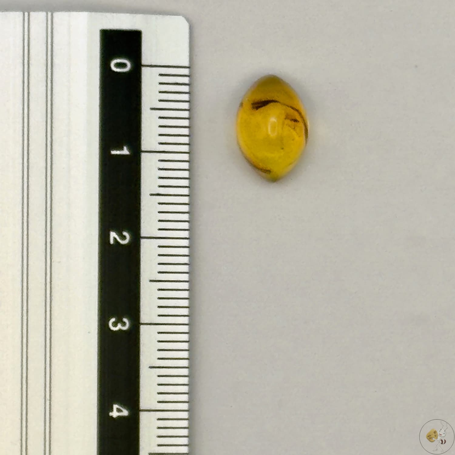 Cabochon en ambre jaune du Mexique, forme marquise, avec des inclusions naturelles et une finition polie. Présenté avec une règle pour référence