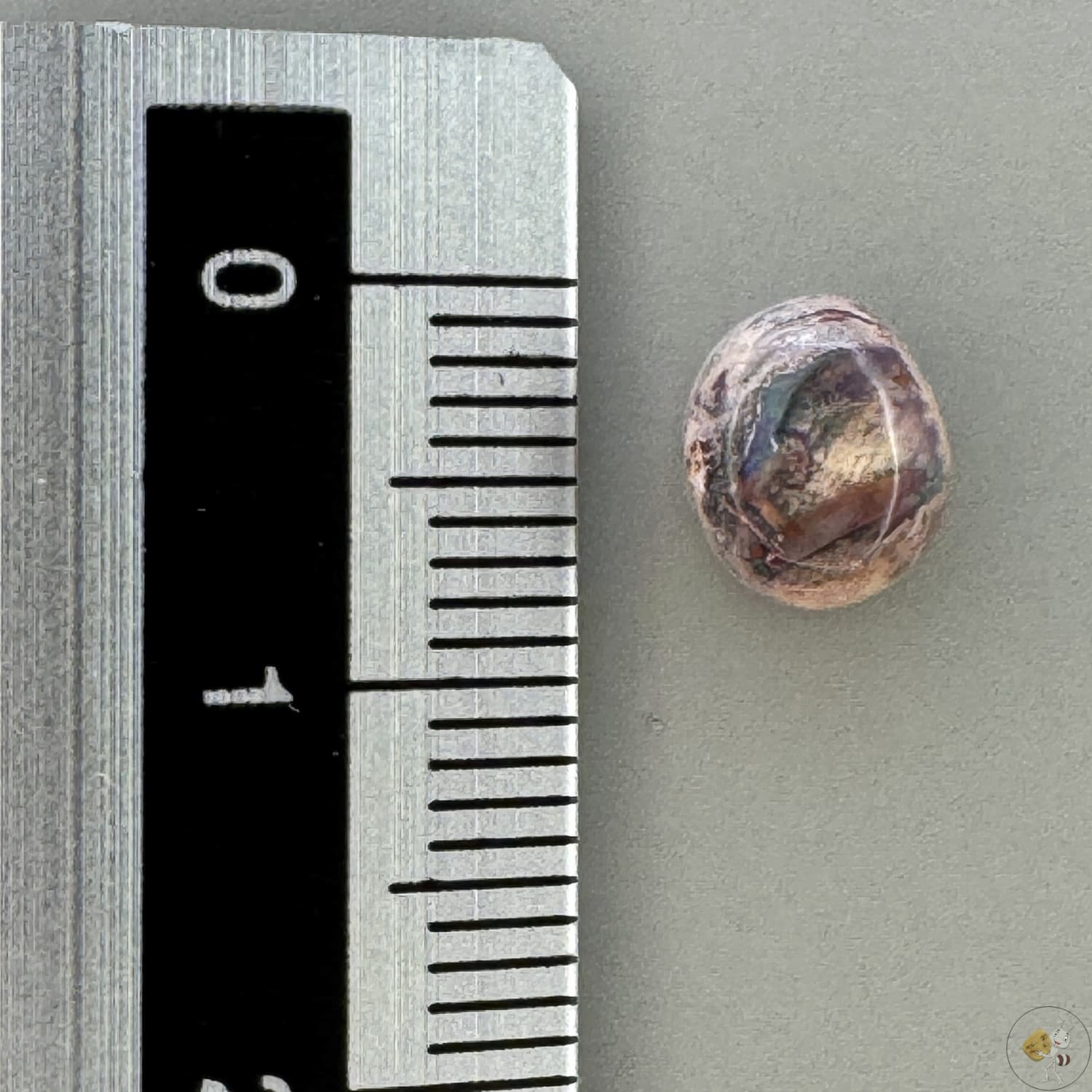 Cabochon d'opale naturelle du Mexique, poli à la main, aux reflets de feu et jeux de lumière intenses, idéal pour la bijouterie ou la collection-1