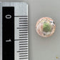 Cabochon d'opale naturelle du Mexique, poli à la main, aux reflets de feu et jeux de lumière intenses, idéal pour la bijouterie ou la collection-10