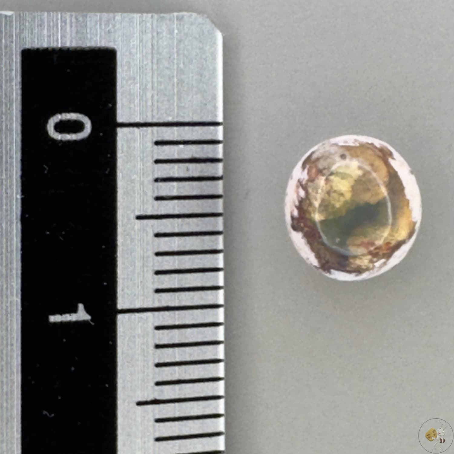 Cabochon d'opale naturelle du Mexique, poli à la main, aux reflets de feu et jeux de lumière intenses, idéal pour la bijouterie ou la collection-8