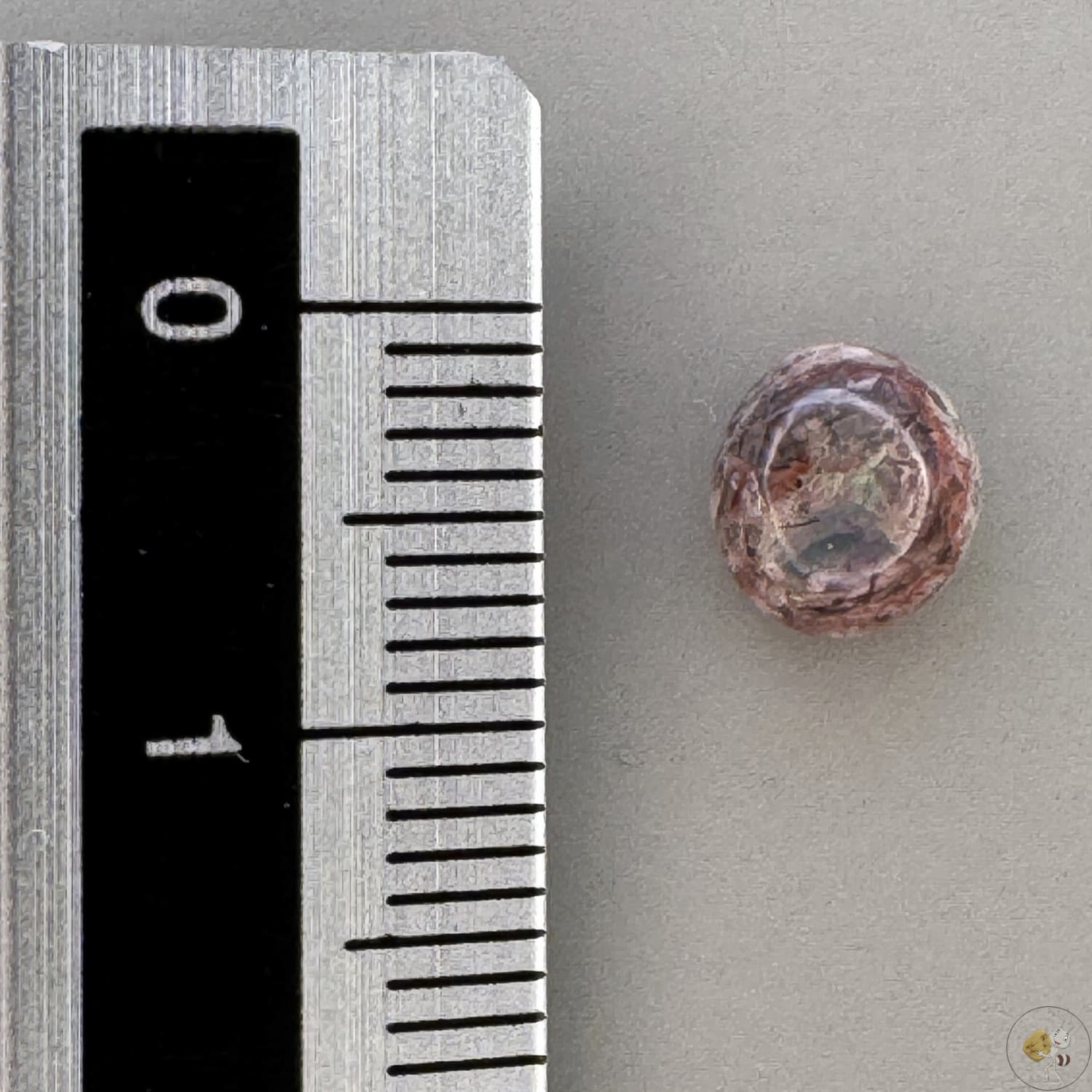 Cabochon d'opale naturelle du Mexique, poli à la main, aux reflets de feu et jeux de lumière intenses, idéal pour la bijouterie ou la collection-9