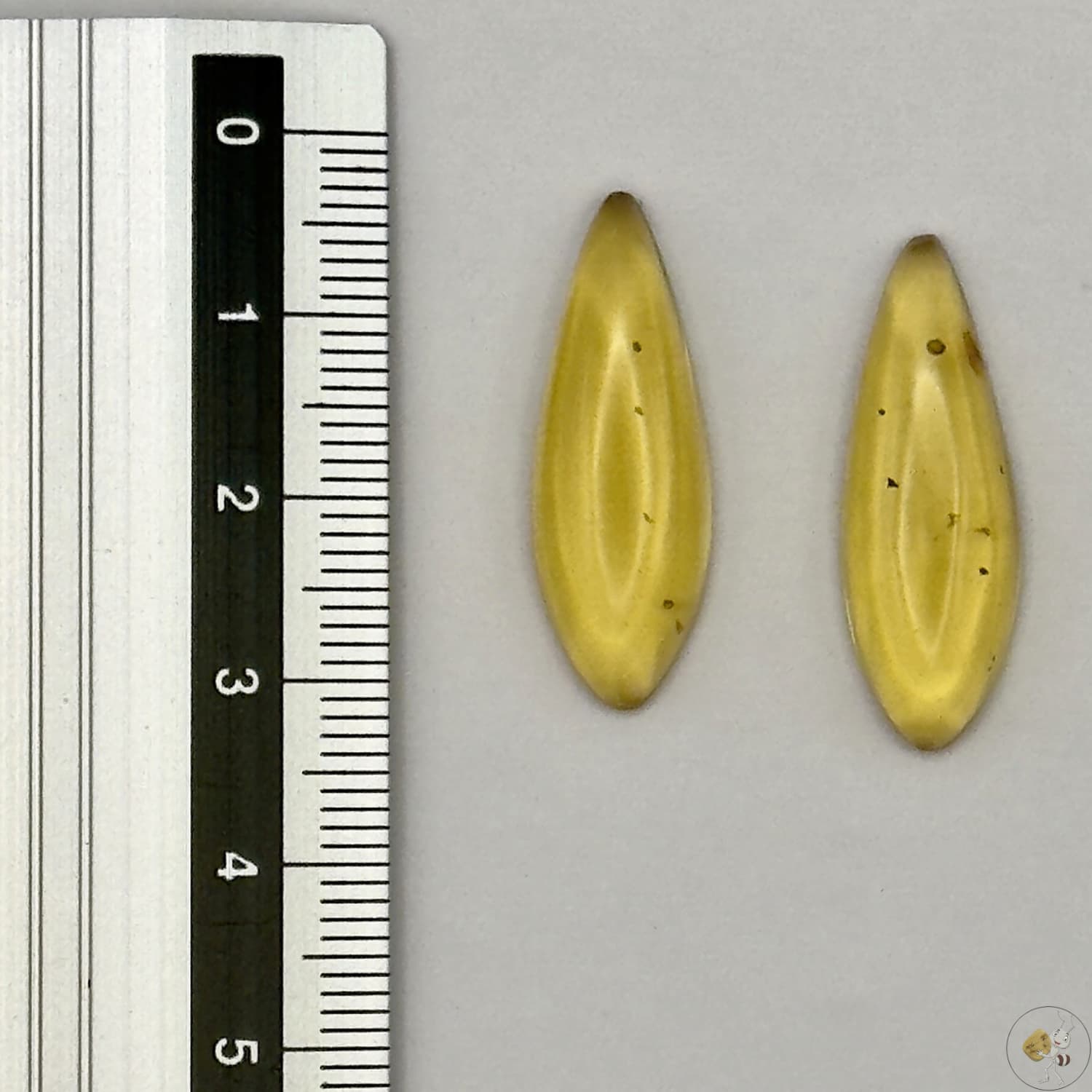 Paire de cabochons en ambre naturel du Mexique – Forme Ovale | Formiga Loca
