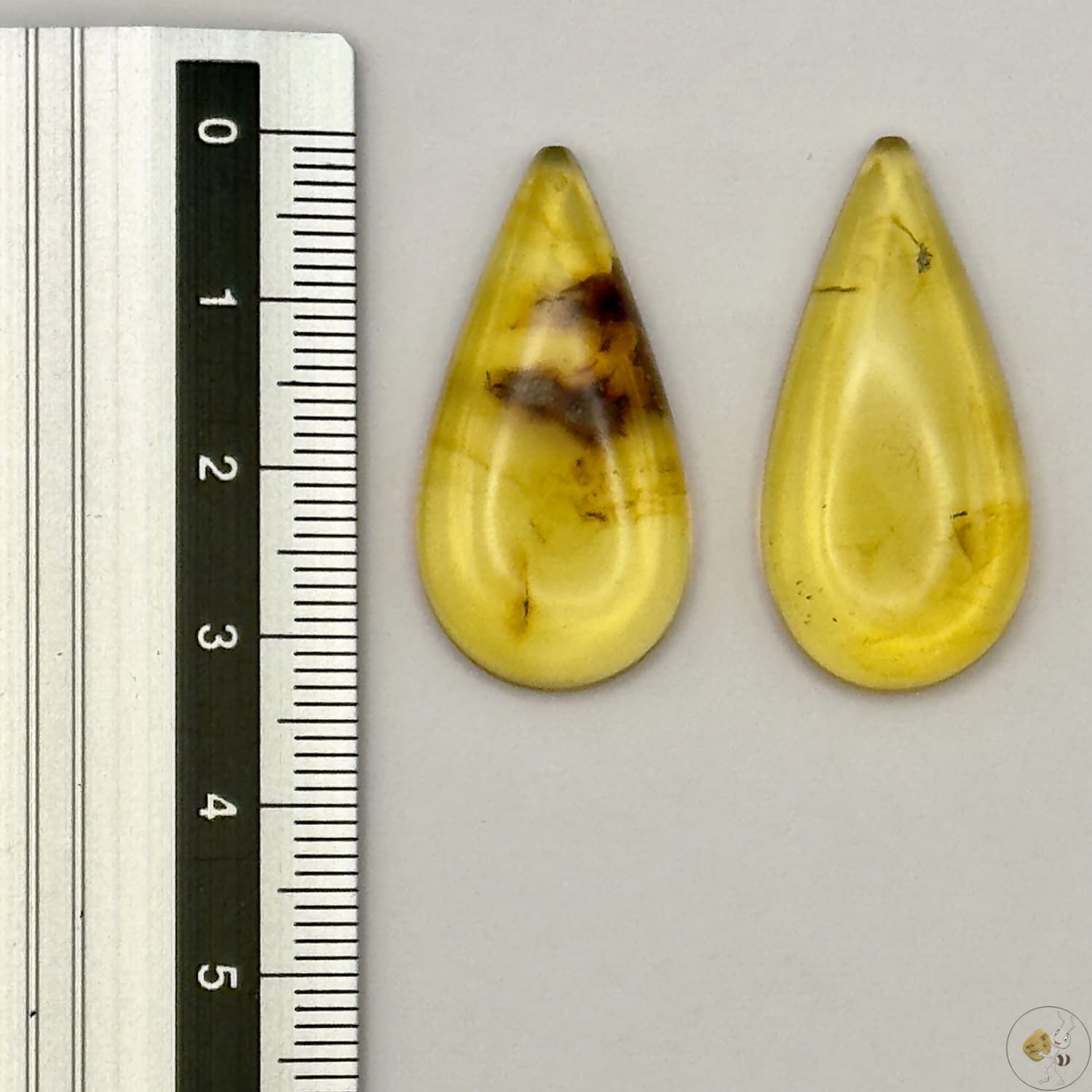 Paire de cabochons en ambre naturel du Mexique – Forme goutte| Formiga Loca