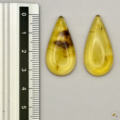 Paire de cabochons en ambre naturel du Mexique – Forme goutte| Formiga Loca