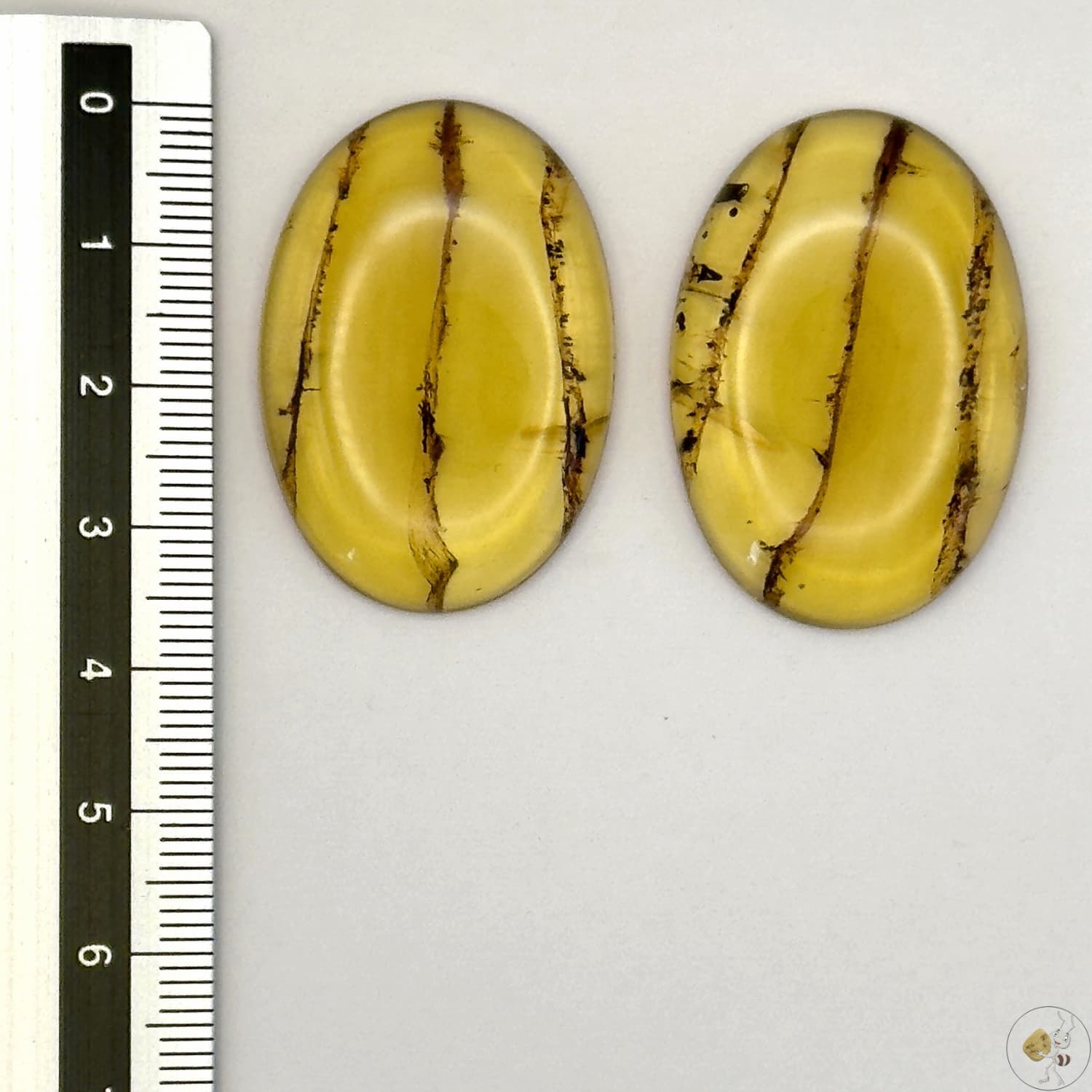 Paire de cabochons en ambre naturel du Mexique – Forme Ovale | Formiga Loca
