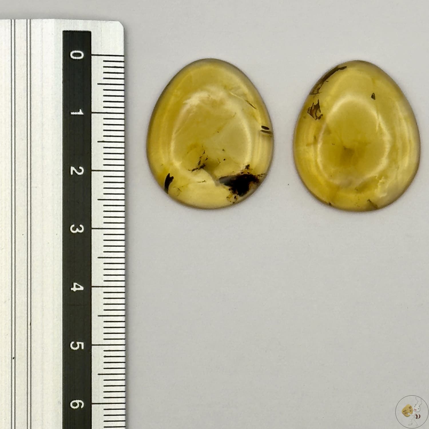 Paire de cabochons en ambre naturel du Mexique – Forme ovale| Formiga Loca