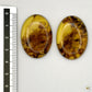 Paire de cabochons en ambre naturel du Mexique – Forme Ovale | Formiga Loca