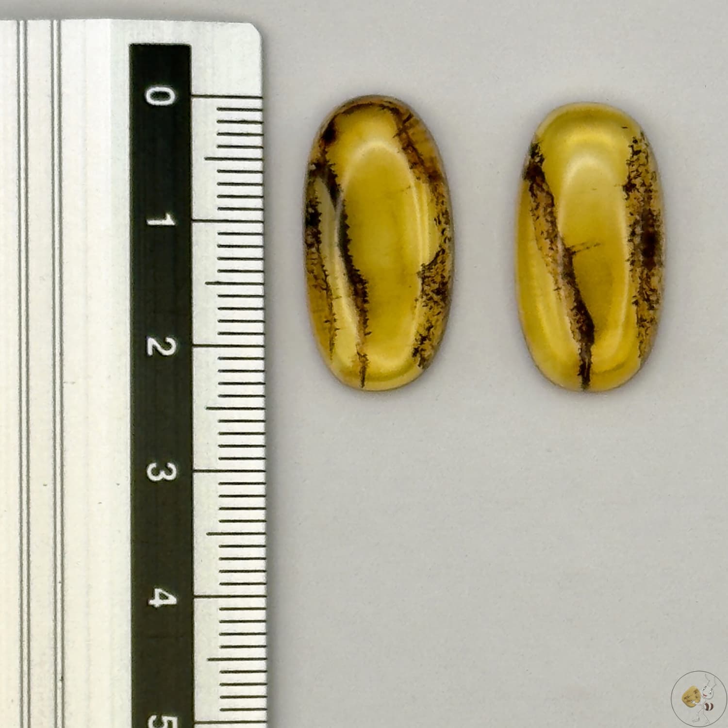 Paire de cabochons en ambre naturel du Mexique – Forme Ovale | Formiga Loca