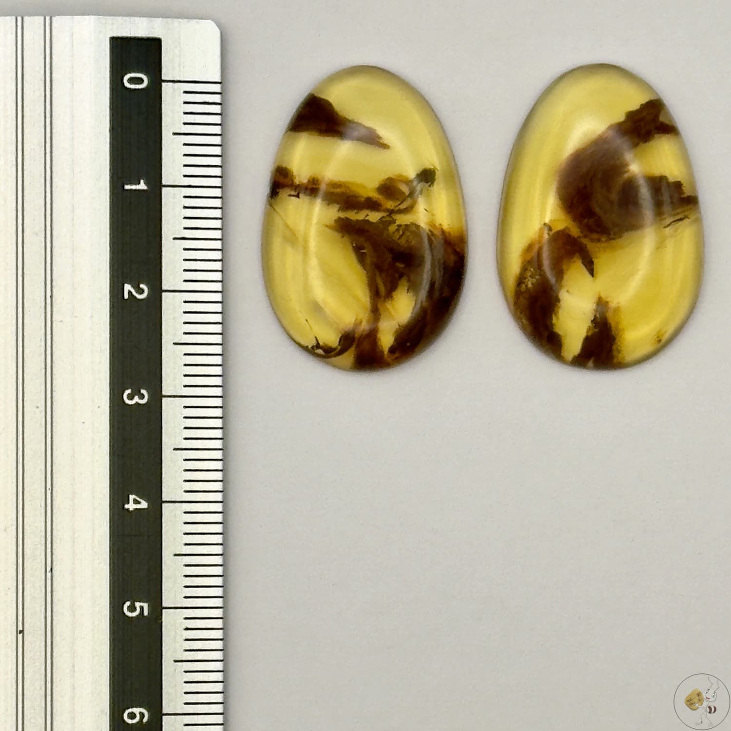Paire de cabochons en ambre naturel du Mexique – Forme ovale | Formiga Loca