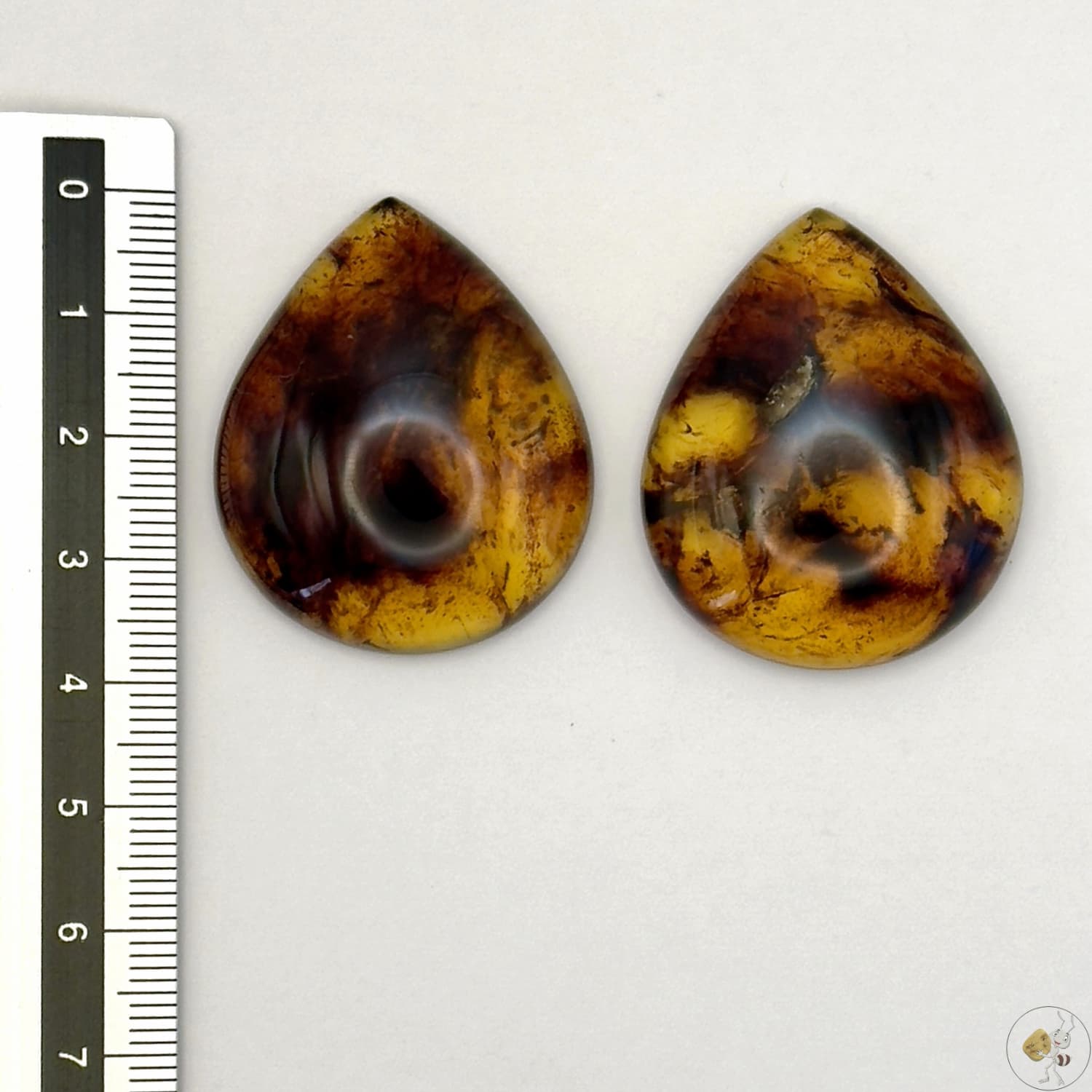 Paire de cabochons en ambre naturel du Mexique – Forme goutte | Formiga Loca