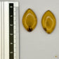 Paire de cabochons en ambre naturel du Mexique – Forme marquise | Formiga Loca