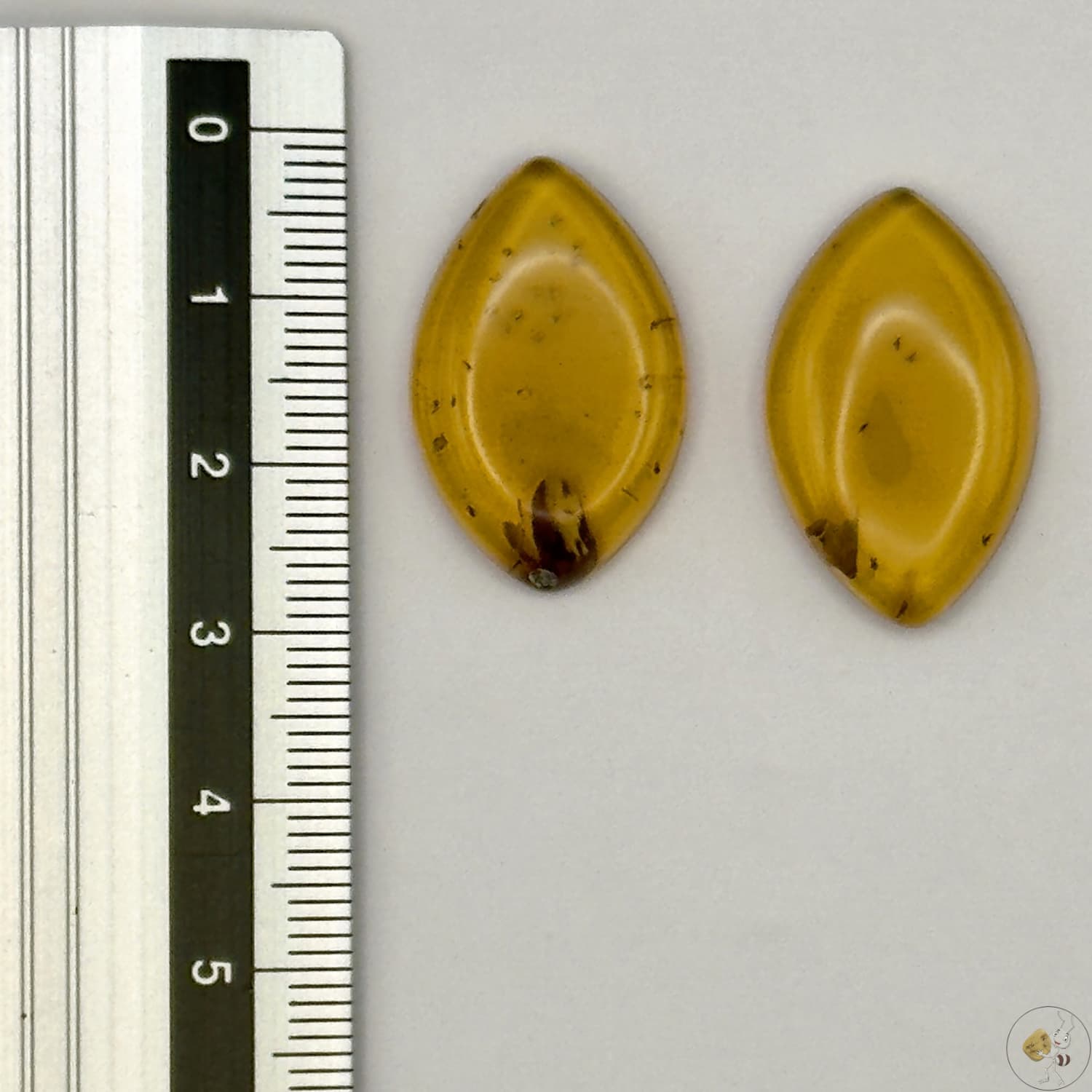 Paire de cabochons en ambre naturel du Mexique – Forme marquise | Formiga Loca