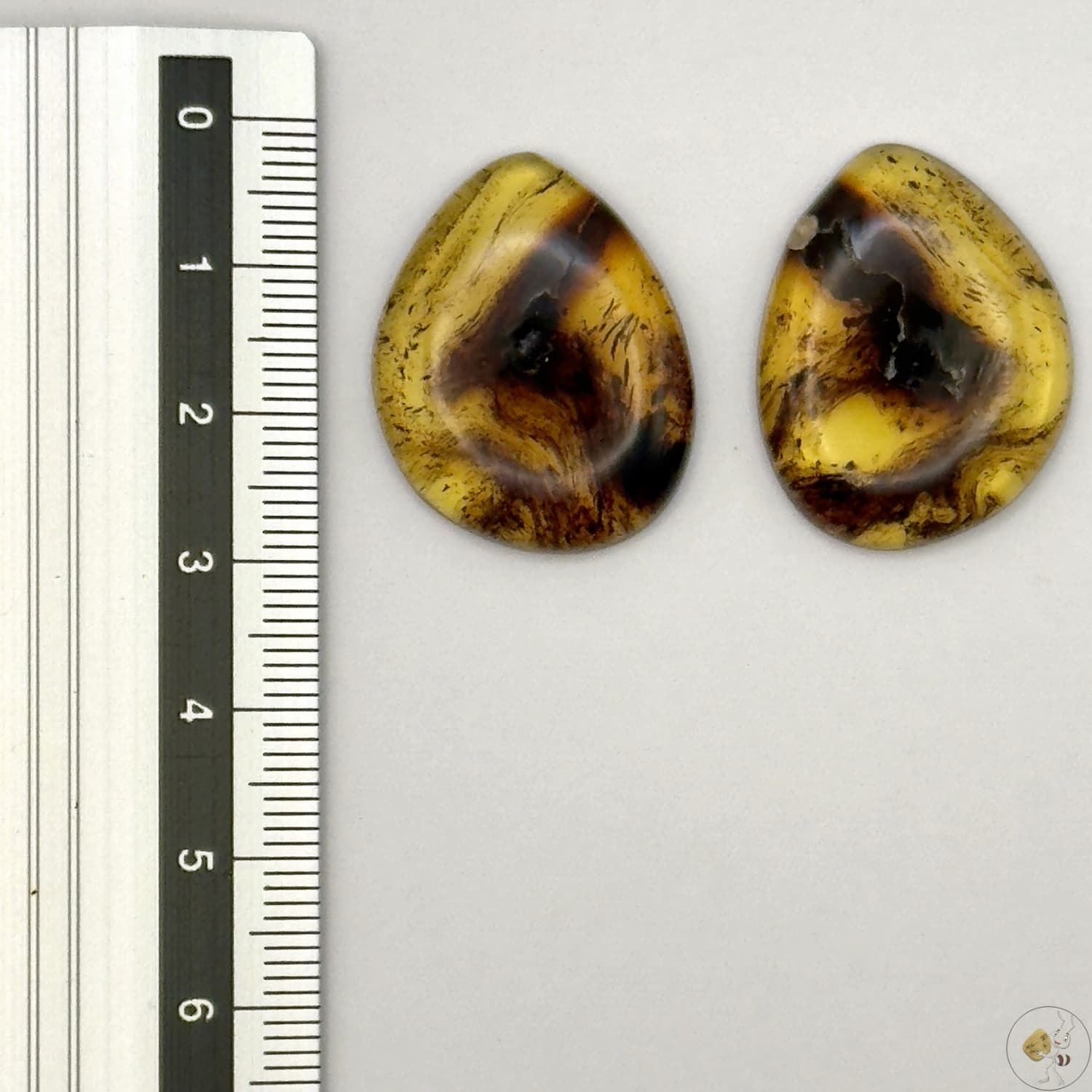 Paire de cabochons en ambre naturel du Mexique – Forme libre | Formiga Loca