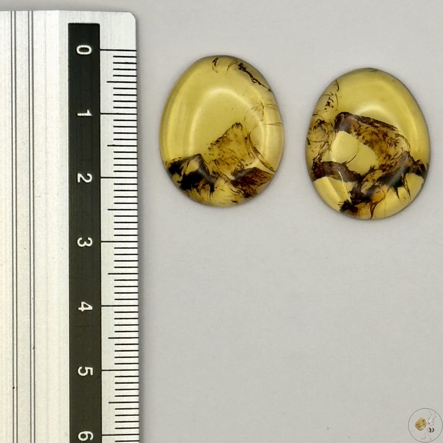 Paire de cabochons en ambre naturel du Mexique – Forme Ovale | Formiga Loca