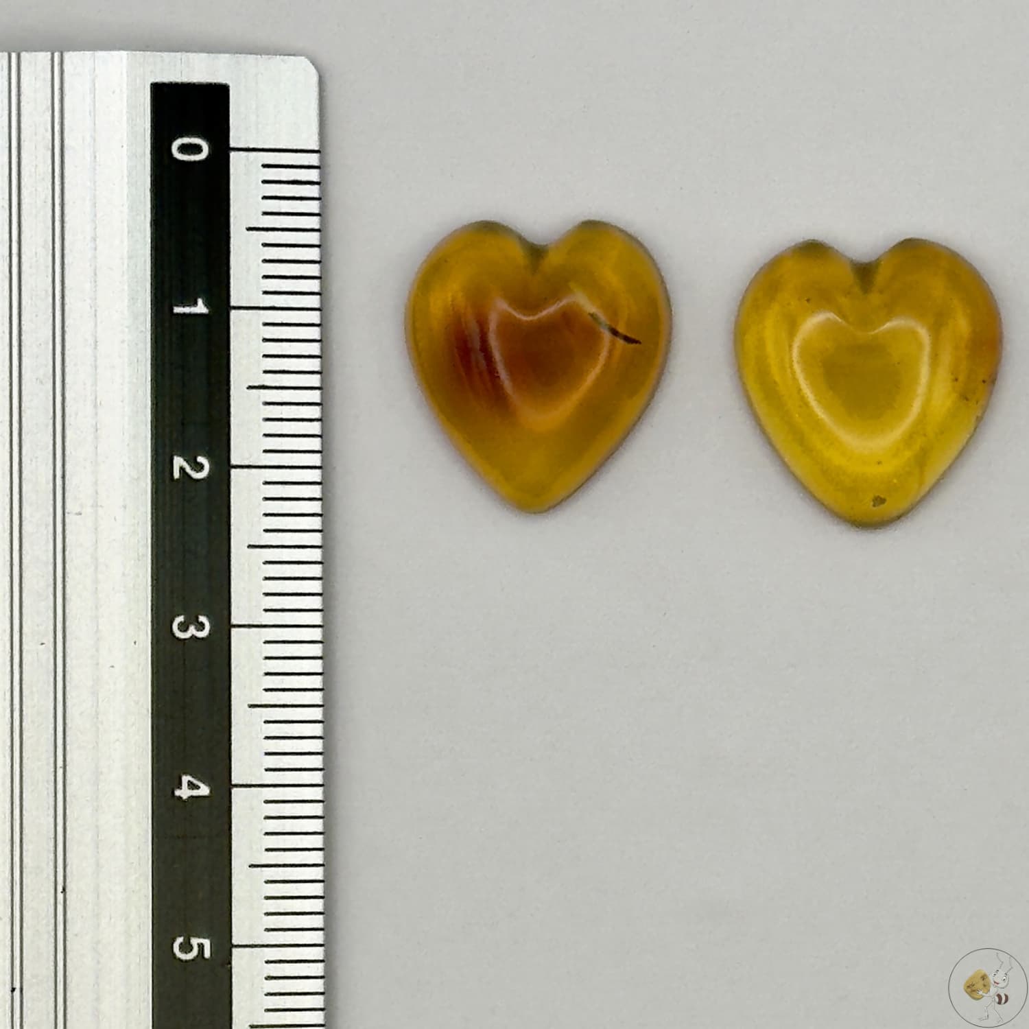 Paire de cabochons en ambre naturel du Mexique – Forme cœur | Formiga Loca